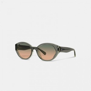 Coach Beveled Signature Petal Round Sunglasses - Women's Sunglasses - Green | FPNX0036
