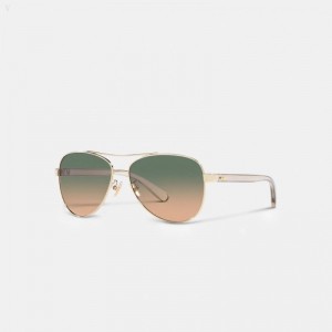 Coach Horse And Carriage Pilot Sunglasses - Women's Sunglasses - Green Yellow | ESZT6399