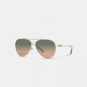 Coach Badge Metal Pilot Sunglasses - Women's Sunglasses - Green / Brown | WHXF2040