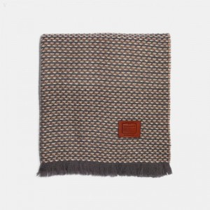 Coach Multicolored Textured Blanket Scarf - Men's Scarves - Grey Birch | HMEI3179