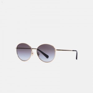 Coach Lia Round Sunglasses - Women's Sunglasses - Grey | ISPK9226