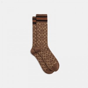 Coach Signature Socks - Men's Socks - Khaki | SHID7511