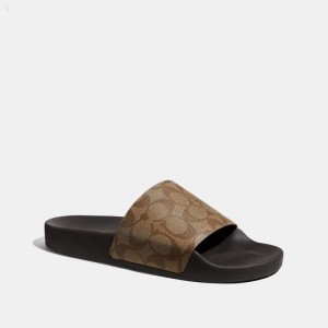 Coach Slide - Men's Sandals - Khaki | ZWIA4513