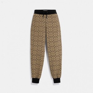 Coach Signature Joggers - Women's Jogger - Khaki Multicolor | ILIF5896