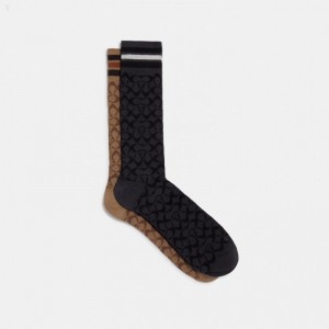 Coach Signature Calf Length Socks - Men's Socks - Khaki / Black | QIKT1878