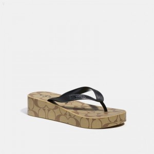 Coach Lynn Flip Flop - Women's Flip Flops - Khaki / Black | EJJR6198