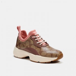 Coach C270 Runner - Women's Sneakers - Khaki / Saddle | EOIT9570