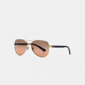 Coach Horse And Carriage Pilot Sunglasses - Women's Sunglasses - Light Gold Black | ZGKG8811