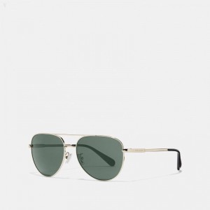 Coach Cooper Pilot Sunglasses - Men's Sunglasses - Light Gold / Green | ILKM0559