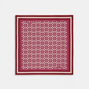 Coach Signature Print Silk Square Scarf - Women's Scarves - Light Raspberry | DBYS0403