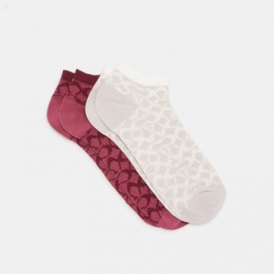 Coach Signature Ankle Socks - Women's Socks - Light Raspberry / | QPML8944