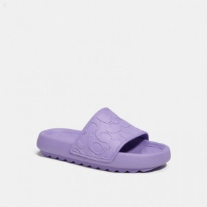 Coach Sport Slide In Signature - Women's Sandals - Light Violet | EEGI9489