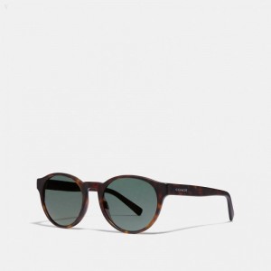 Coach Wythe Round Sunglasses - Men's Sunglasses - Matte Dark | MRWF3048