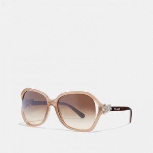 Coach Integration Flower Sunglasses - Women's Sunglasses - Milky Light Brown | QRTT5912