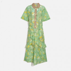 Coach Apple Print Long Ruffle Shirt Dress - Women's Dress - Mint / Yellow | ZDTD8466