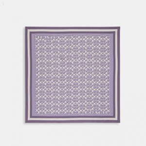 Coach Signature Print Silk Square Scarf - Women's Scarves - Mist | CIGF4869
