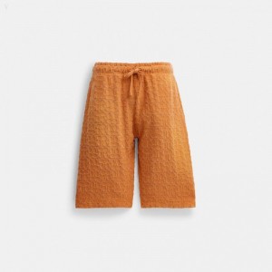 Coach Sun Faded Shorts - Men's Shorts - Orange | KFVZ4313