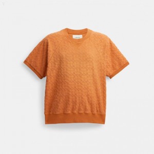 Coach Sun Faded Signature Sweatshirt - Men's Sweatshirt - Orange | YJKY3816
