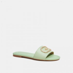 Coach Evy Sandal - Women's Sandals - Pale Pistachio | TLVR3387