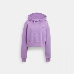Coach Garment Dye Cropped Hoodie - Women's Hoodie - Purple | ZOKH0272