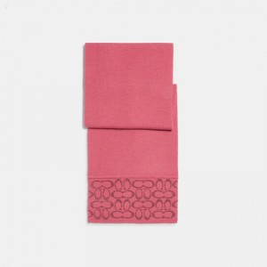Coach Signature Oblong Scarf - Women's Scarves - Red | HACM8017