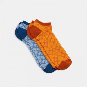 Coach Signature Crew Socks - Men's Socks - Rust / Blue Heaven | GQCB3279