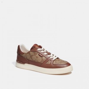 Coach Clip Court Sneaker - Men's Sneakers - Saddle | QSSU0623