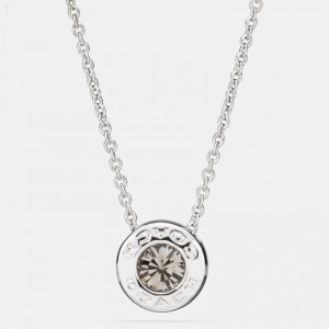Coach Open Circle Stone Strand Necklace - Women's Jewelry - Silver | IRBJ4738
