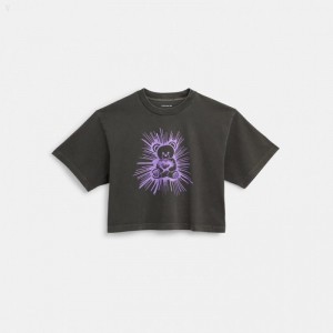 Coach Rave Bear Garment Dye Cropped T Shirt - Women's T Shirts - Smoke | YDMH1856
