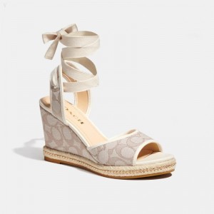 Coach Page Wedge - Women's Sandals - Stone / | EKFS9040