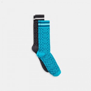 Coach Signature Calf Length Socks - Men's Socks - Teal / Black | HRRR9216
