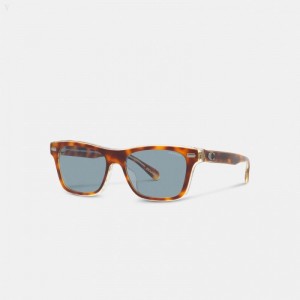 Coach Beveled Signature Square Sunglasses - Men's Sunglasses - Tortoise / Blue | AREL7936