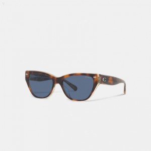 Coach Beveled Signature Square Cat Eye Sunglasses - Women's Sunglasses - Tortoise / Crystal | XEWF7115