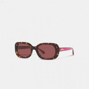 Coach Badge Rounded Square Sunglasses - Women's Sunglasses - Tortoise / Pink Stripe | FWAA4421