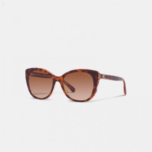 Coach Beveled Signature Oversized Cat Eye Sunglasses - Women's Sunglasses - Tortoise / Pink | IANC9149