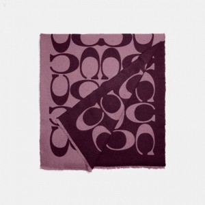 Coach Reversible Signature Muffler - Women's Scarves - Tulip | ZXUC2596