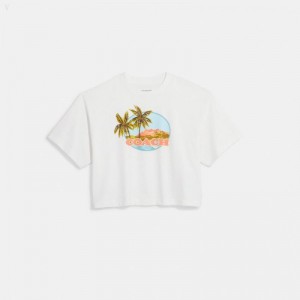 Coach Hawaiian Cropped T Shirt - Women's T Shirts - White | NXAU2361