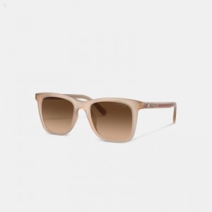 Coach Disney X Coach Striped Square Sunglasses - Women's Sunglasses - White / Saddle | WYCS7145